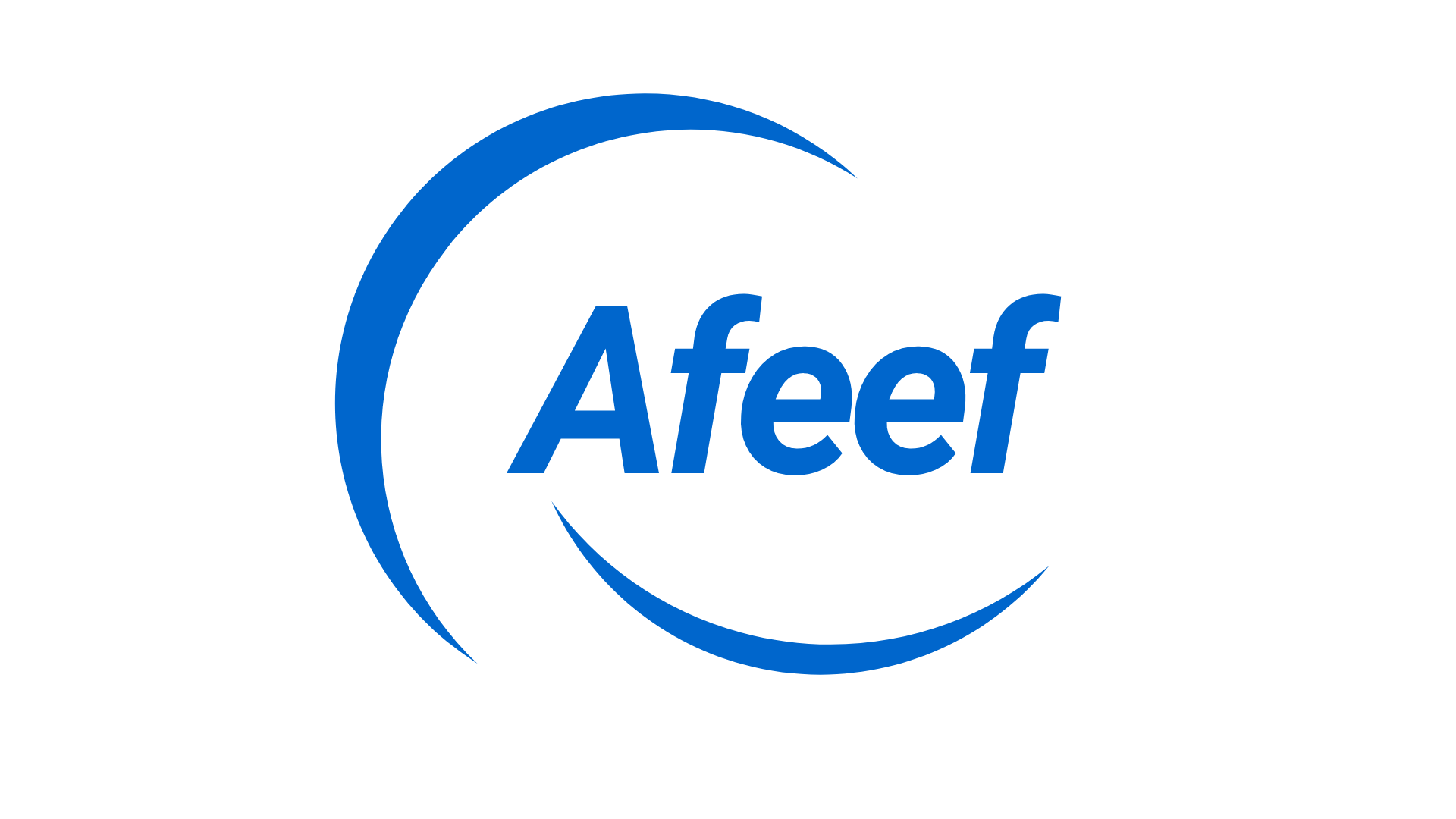 Afeef international